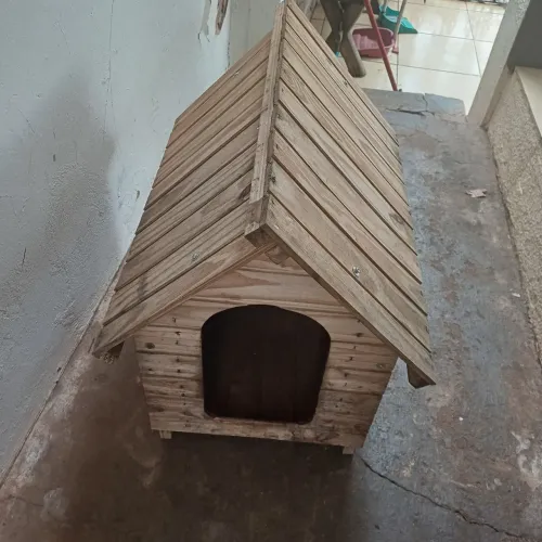 casa de cachorro 