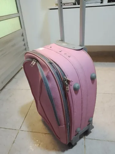 Mala de Rodinhas Rosa - Prática e Charmosa