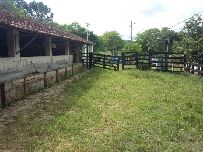Fazenda 72 Hectares Com Pasto Formado Em Taubaté/SP