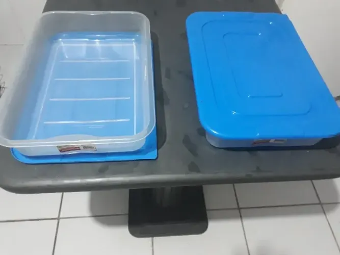 bandeja de plástico resistente multiuso transparente 10 l. com tampa