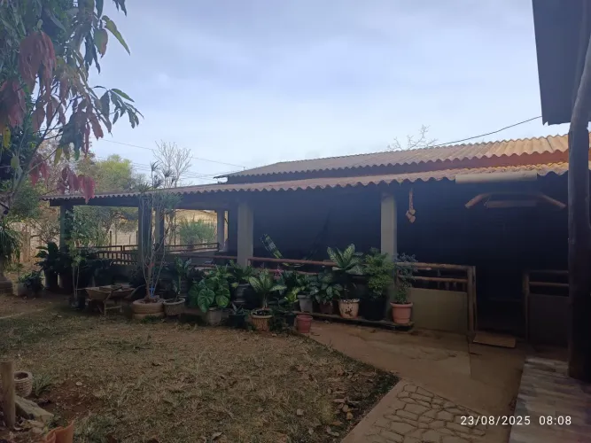 Chácara 5000 M2 em Padre Lúcio com 2 casas frente a pista principal 