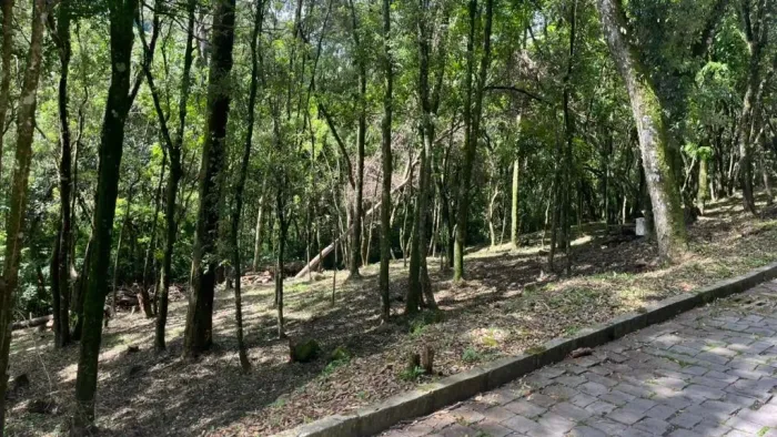 Terreno à venda, 3239 m² por R$ 790.000 - Linha 40 - Caxias do Sul/RS