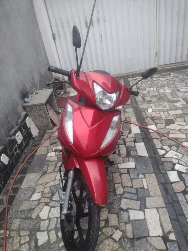 Shineraray xy 50