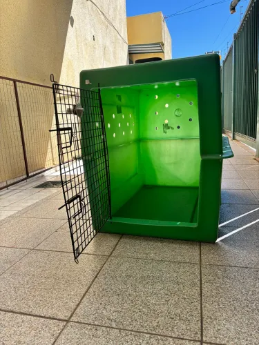 Caixa de transporte para cães