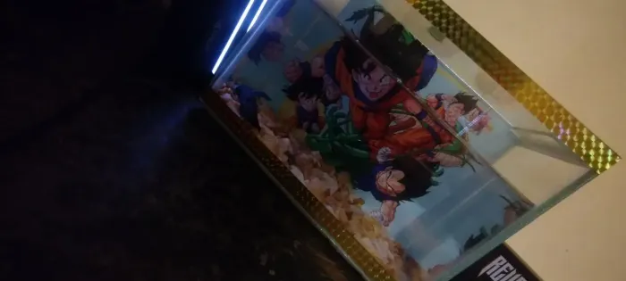 Aquário Completo Dragon Ball + Ração + Anticloro - Pronto para usar!