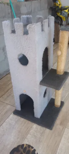 Toca gatos