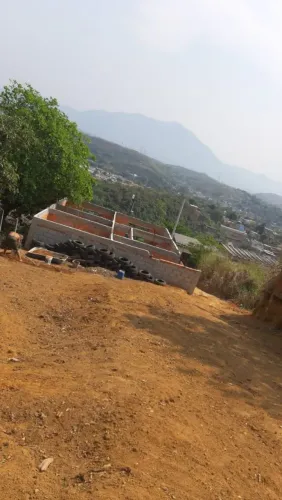Terreno