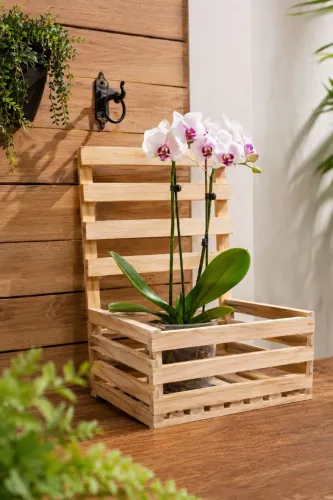 Cachepot Artesanal em Madeira para Orquídeas e Plantas