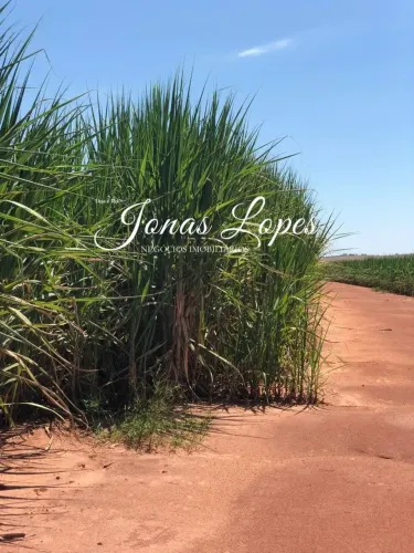 Fazenda 107 Alqueires em Cana - Tapejara - Paraná