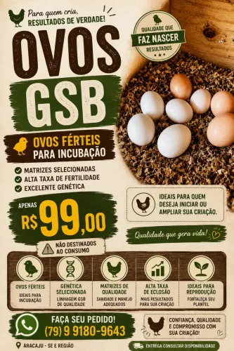 Ovos Gsb
