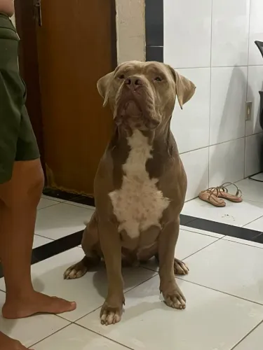 Vende-se