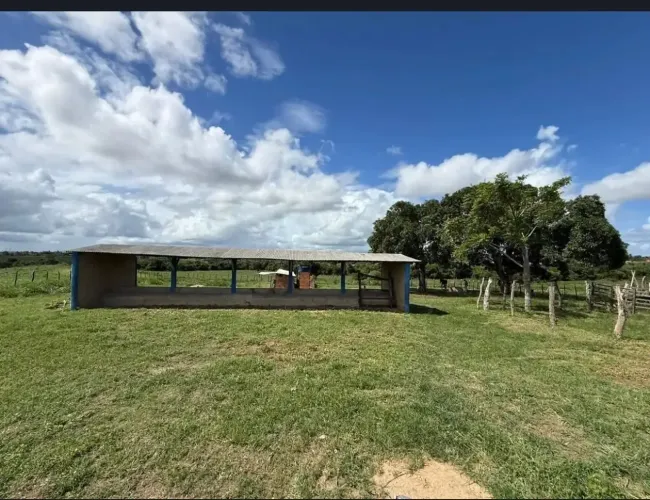 Áreas à venda, LAUDELINO FREIRE, Lagarto, SE