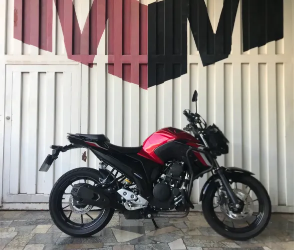FZ 25 fazer 250
