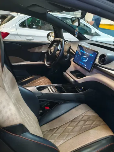 BYD Dolphin EV (Elétrico) 2024