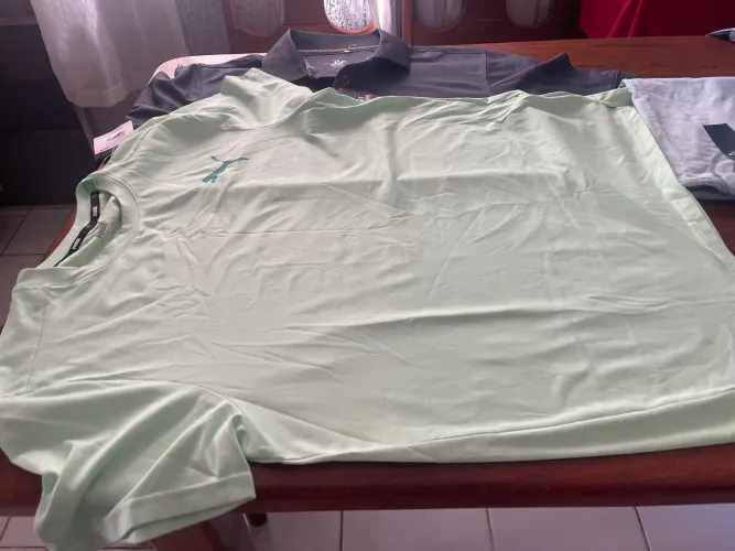 Camisetas masculinas Puma ,Polo club,Hollister