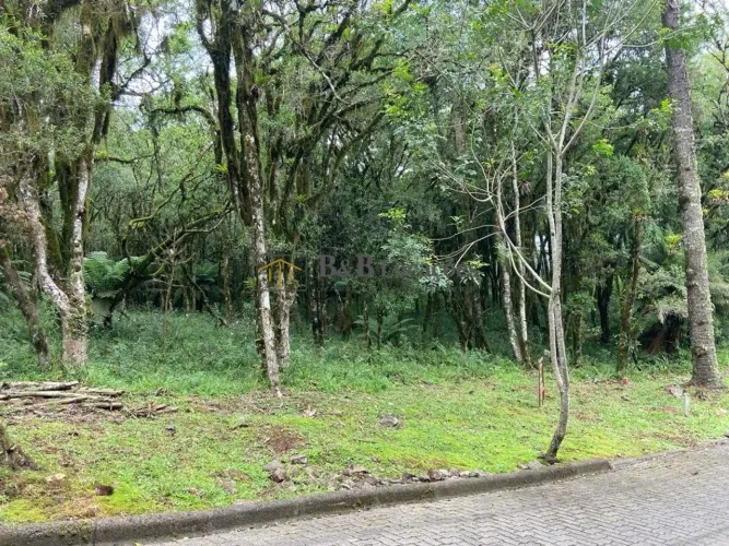 TERRENO À VENDA EM CONDOMINIO FECHADO - CANELA, RS