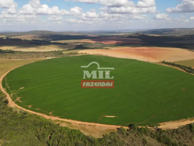 Fazenda 303,01 alqueires (1.470 ha) Paracatu - MG