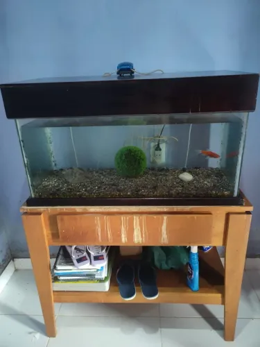 Vendo esse aquário
