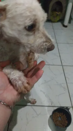 Doação