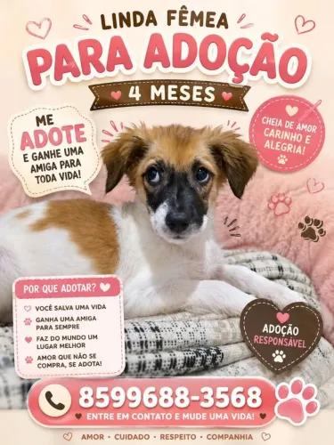 Doação fêmea 