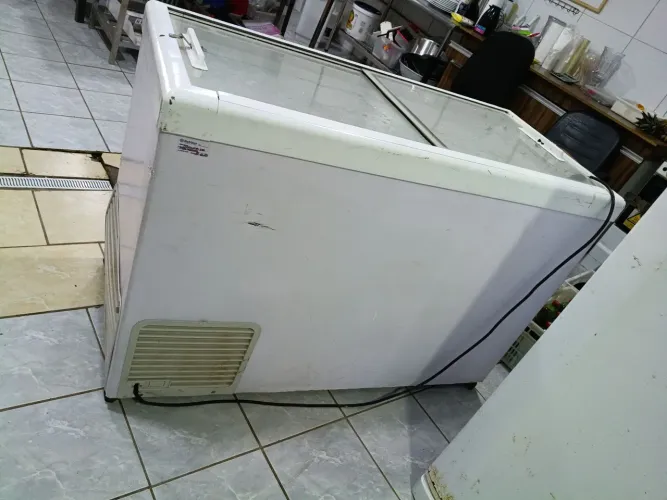 Freezer horizontal