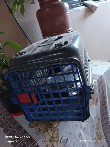 Gaiola de transporte para gato