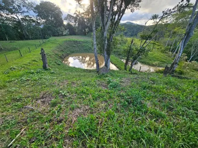 Terreno Rural com lago em Santo Amaro
