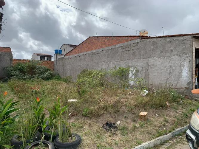 Terreno no tomba 8x20