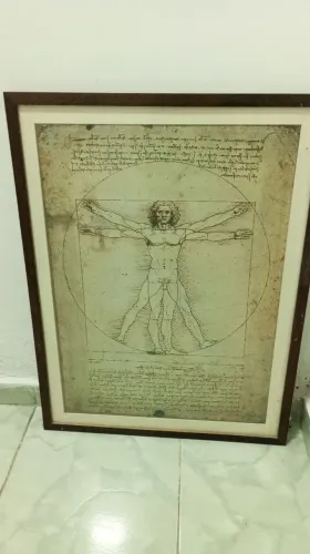 Quadro decorativo -Homem Vitruviano