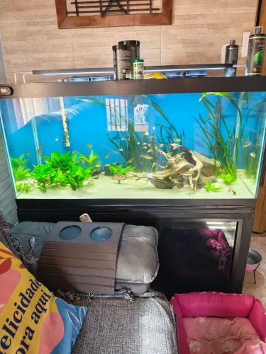 Aquário 360 Litros