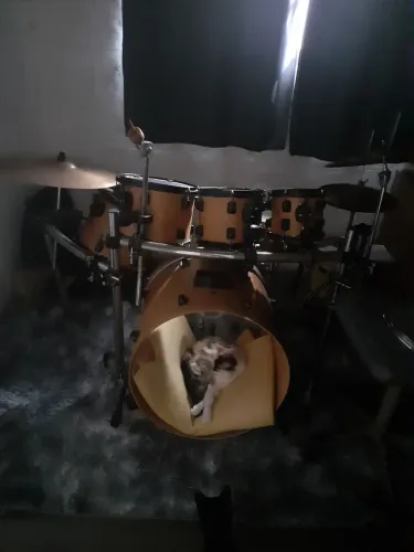Bateria 3 tons, ferragem mapex e kit de pratos (inclui zildjian)