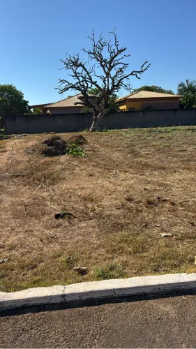 TERRENO POLINÉSIA.