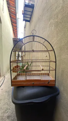 Gaiolas N 1