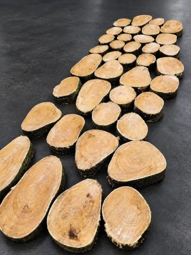 Fatias de madeira para decoração