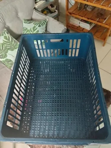Galéias para pão, verduras e outros insumos