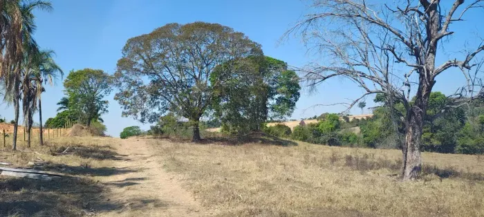 Fazenda para venda com 24 alqueires para cria e engorda em Jesúpolis Estado de Goiás GO.