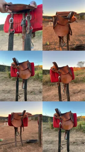 sela australiana
