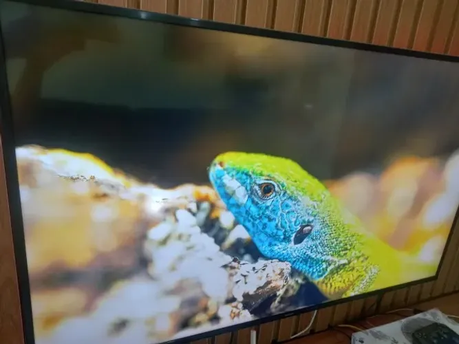 Samsung Smart TV 4K UHD 58" UN58MU6120 - Funcionando com Defeito na Tela