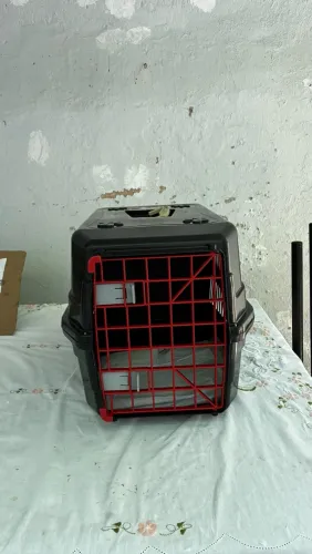 Caixa de Transporte (cachorro)