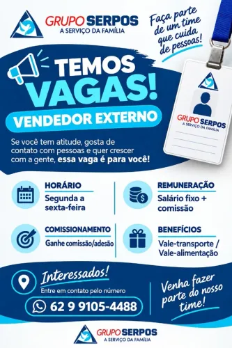 Vendedor Externo