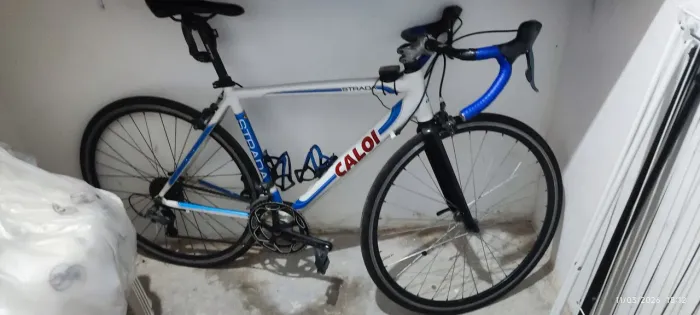 Speed aro 29 