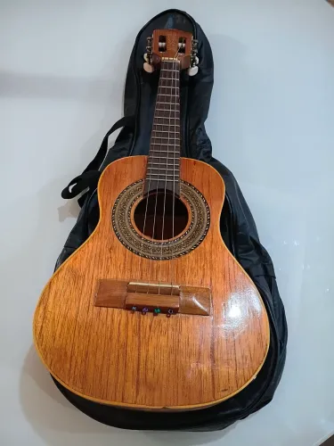Cavaquinho elétrico com capa.