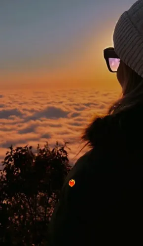 Babá, cuidadora de idosos, passe adora de cães, faxineira etc