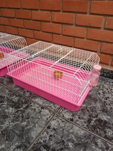 gaiola para porquinho da índia