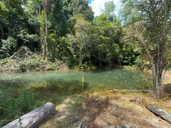 SÍTIO À VENDA R$ 120.000 A VISTA OU R$:60.000 MIL ENTRADA+ PARCELAS | RIO PRETO