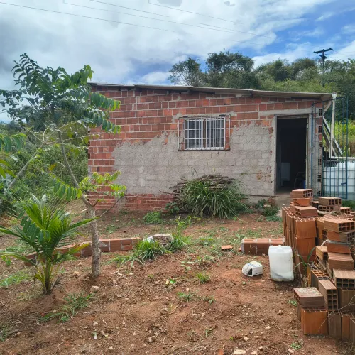 4 equitario no cidade será dá Raí