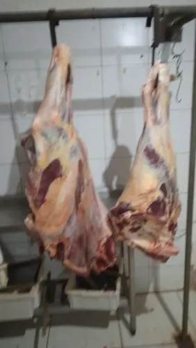 Vendo mercado açougue 