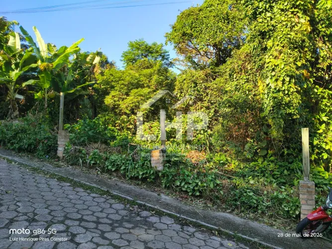 Terreno à venda no bairro Pântano do Sul - Florianópolis/SC, Sul da Ilha