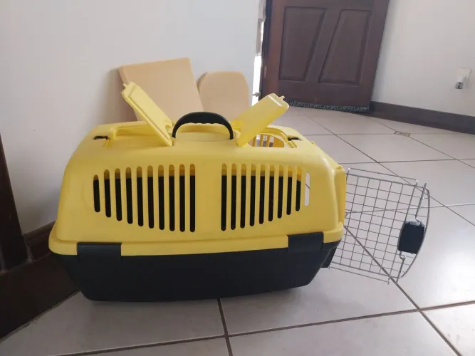 Caixinha de Transporte de Cachorro
