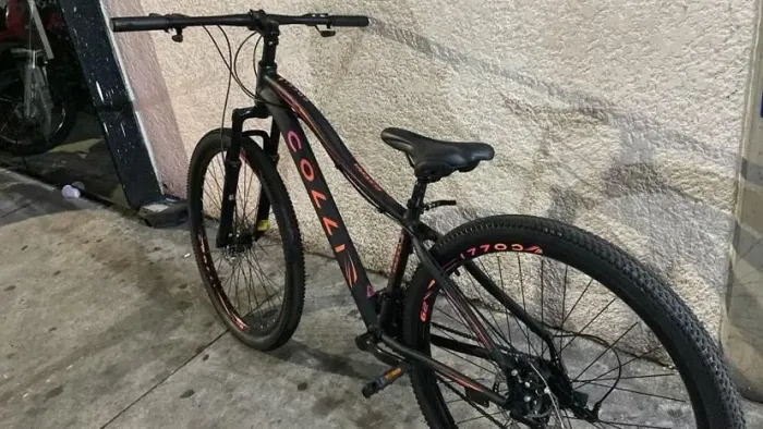 Bicicleta colli aro 29